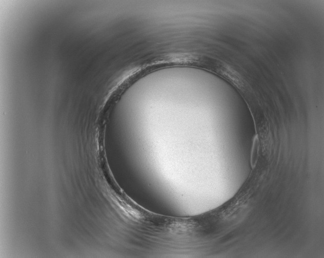 X0000060550350200511101543