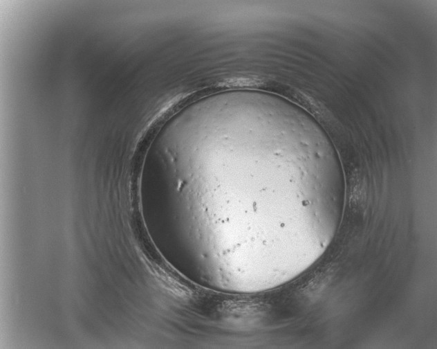 X0000060550351200511101543