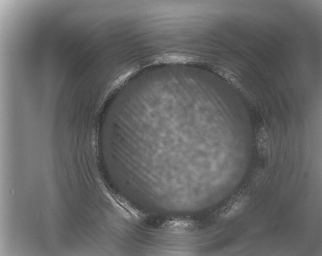 X0000060550352200511101543