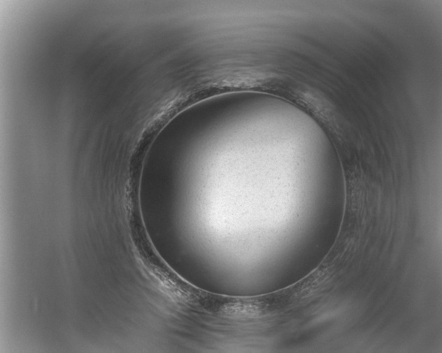 X0000060550354200511101543