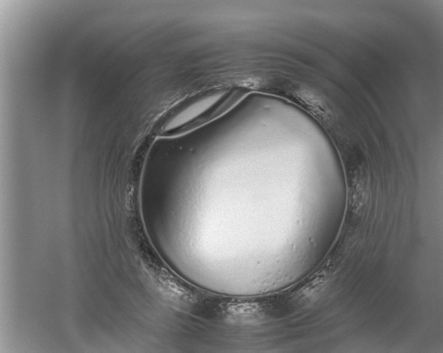 X0000060550355200511101543