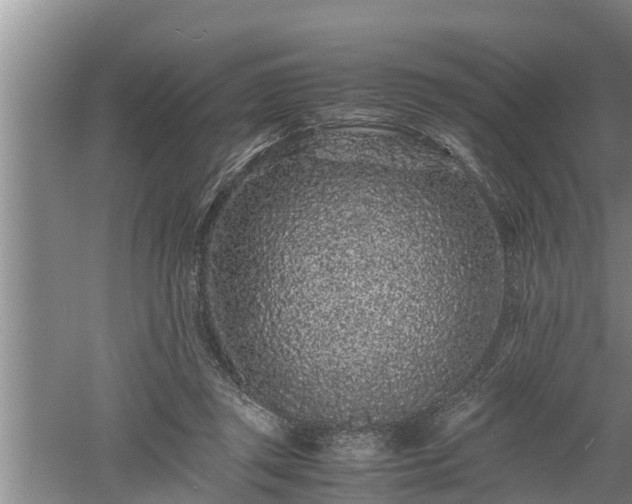 X0000060550357200511101543