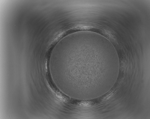 X0000060550358200511101543