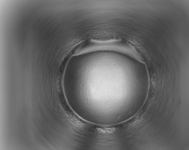 X0000060550359200511101543