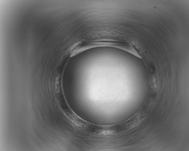 X0000060550360200511101543