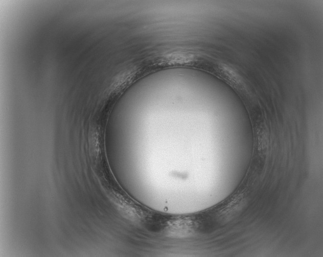 X0000060550362200511101543