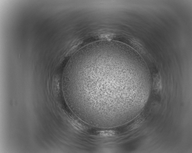 X0000060550363200511101543