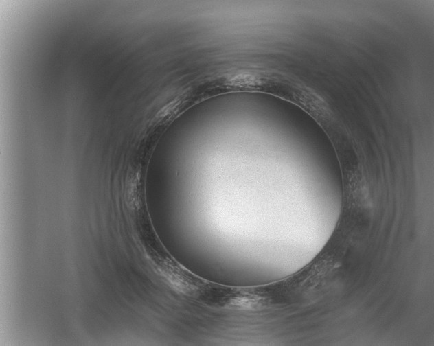 X0000060550364200511101543