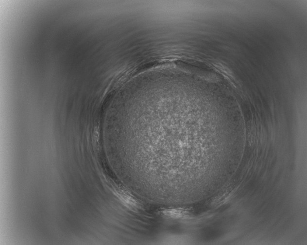 X0000060550365200511101543