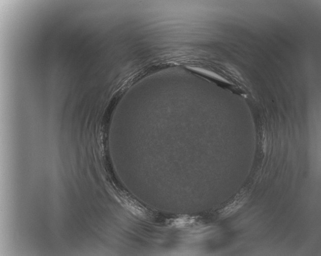 X0000060550366200511101543