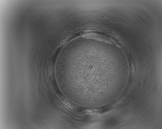 X0000060550367200511101543