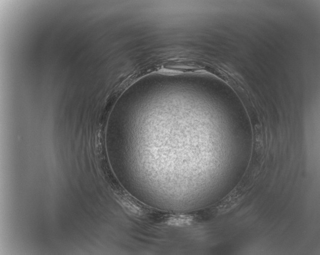 X0000060550369200511101543