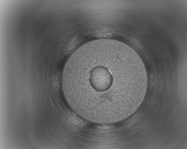 X0000060550370200511101543