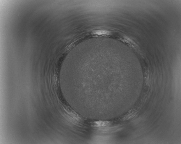 X0000060550371200511101543