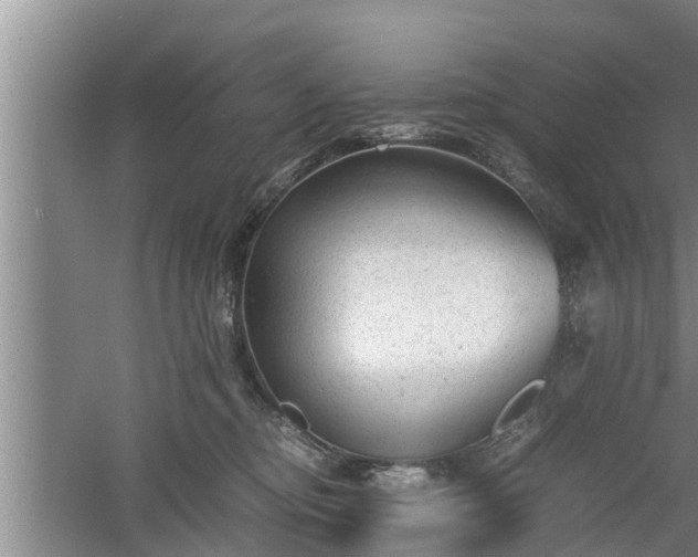 X0000060550374200511101543