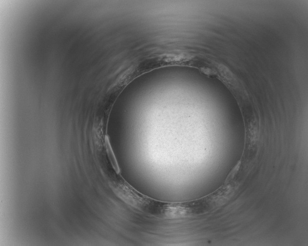 X0000060550376200511101543