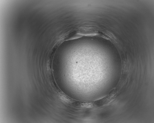 X0000060550377200511101543