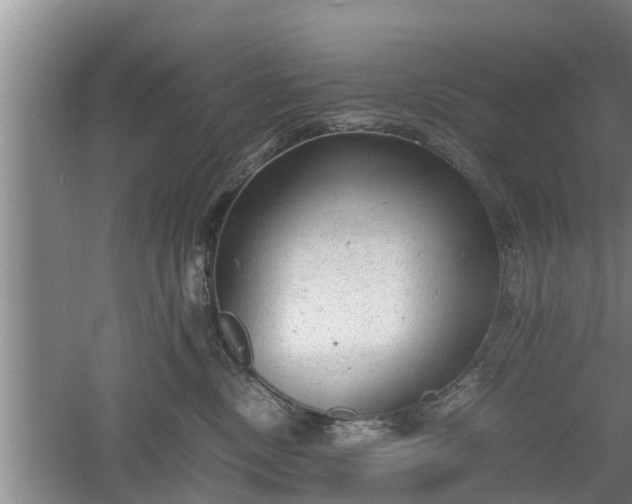 X0000060550378200511101544