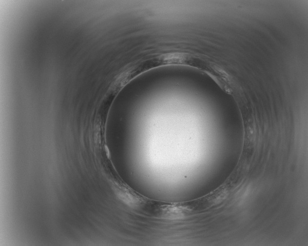 X0000060550379200511101544