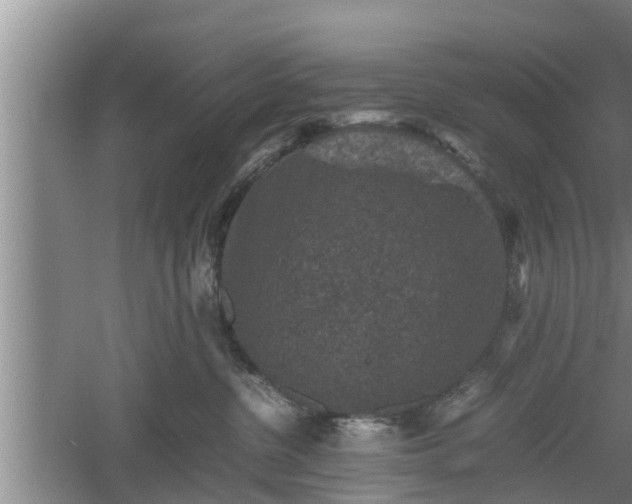 X0000060550380200511101544