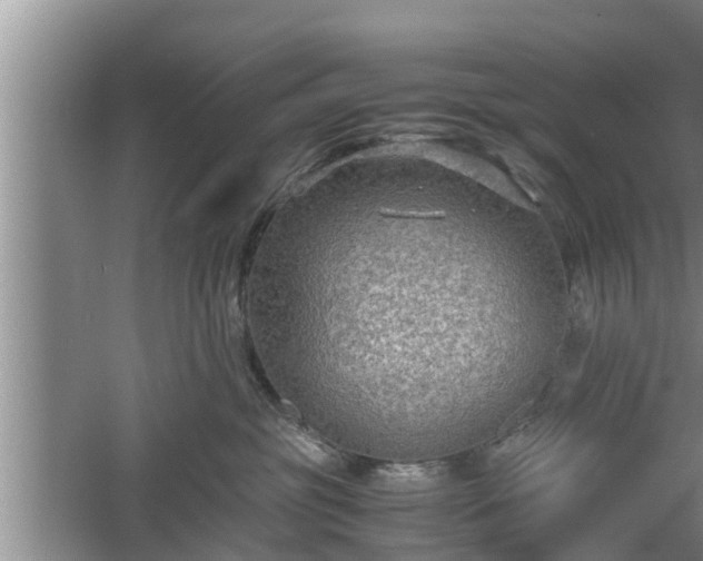 X0000060550381200511101544