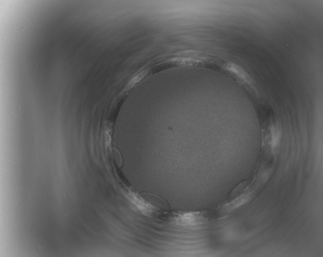 X0000060550382200511101544