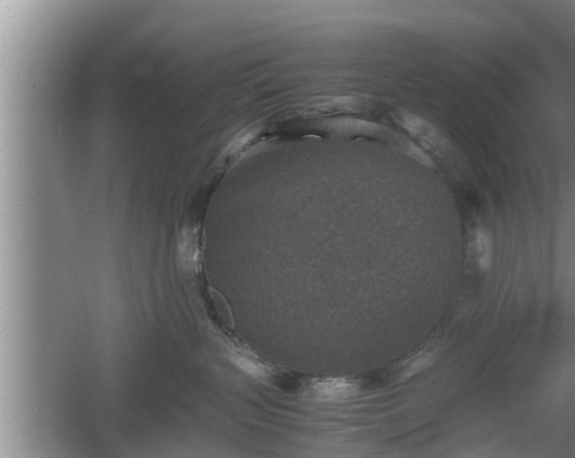 X0000060550383200511101544