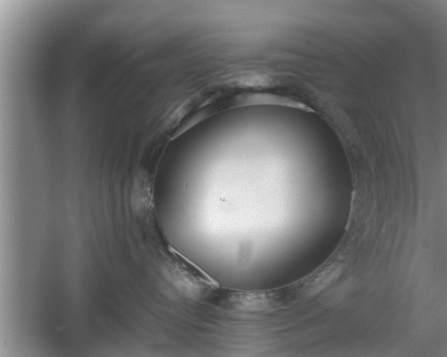 X0000060550384200511101544