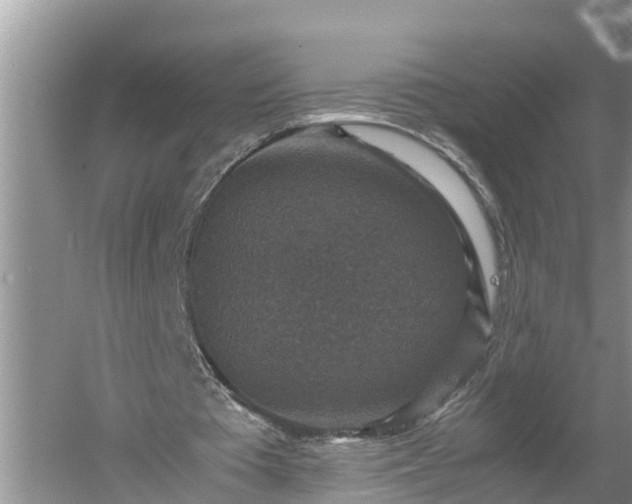 X0000060550385200511101543