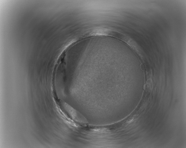 X0000060550386200511101543