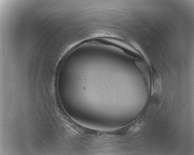 X0000060550387200511101543