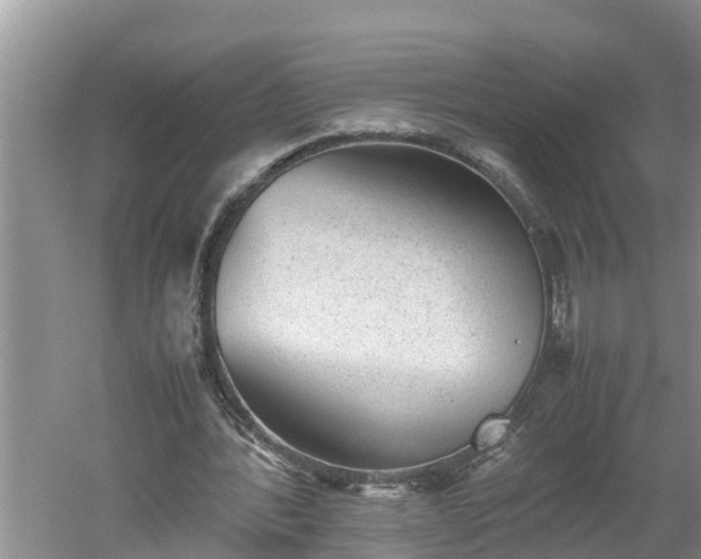 X0000060550388200511101543