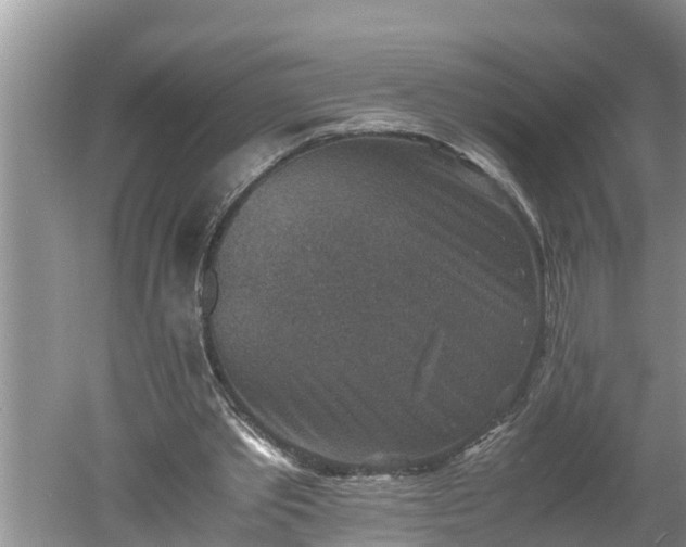 X0000060550389200511101543