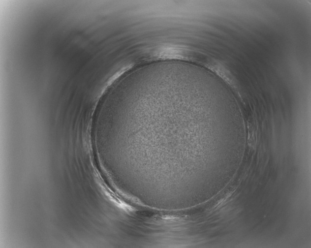 X0000060550390200511101543