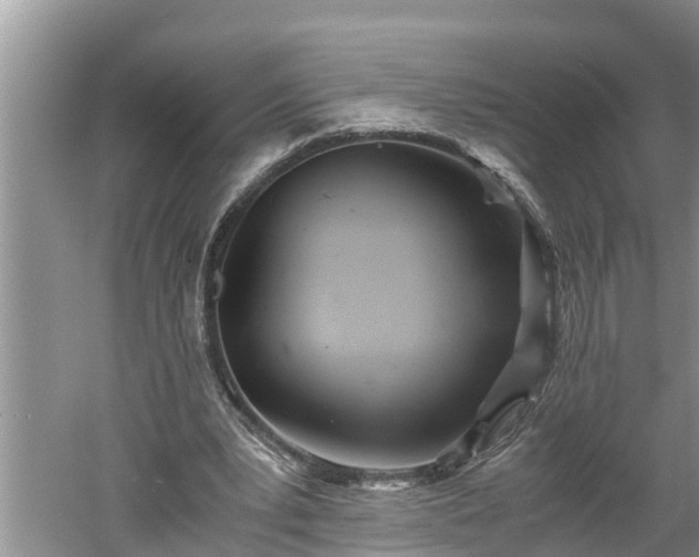 X0000060550391200511101543