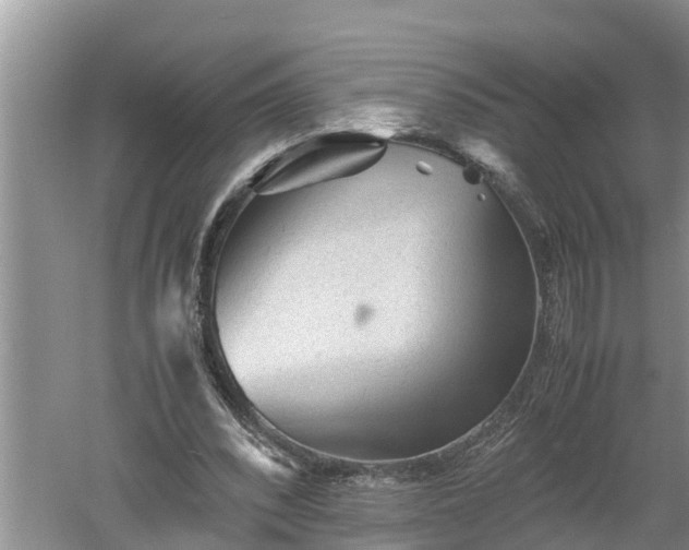 X0000060550392200511101543