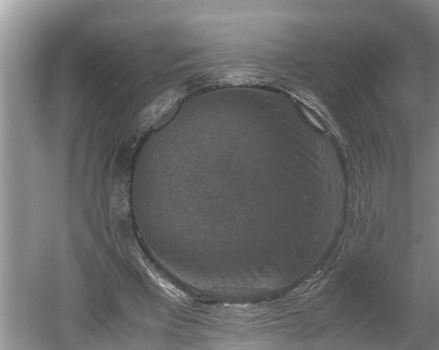 X0000060550393200511101543