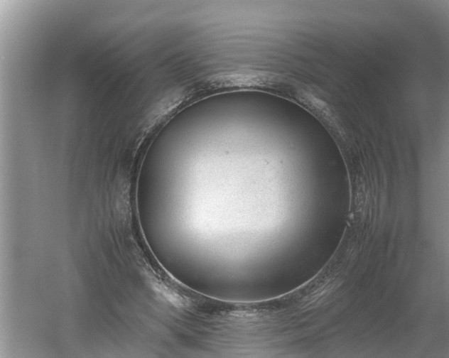 X0000060550394200511101543