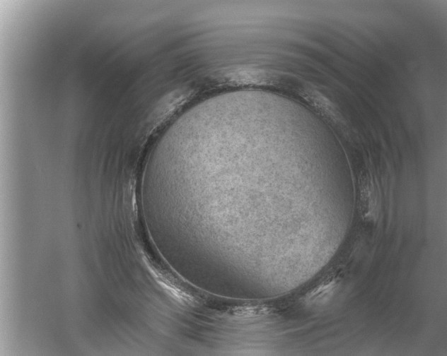 X0000060550398200511101543