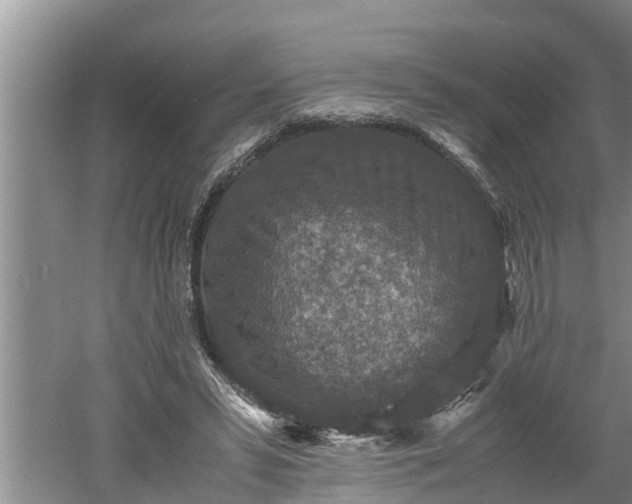 X0000060550399200511101543