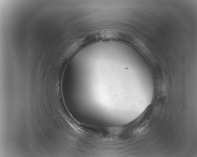 X0000060550401200511101543