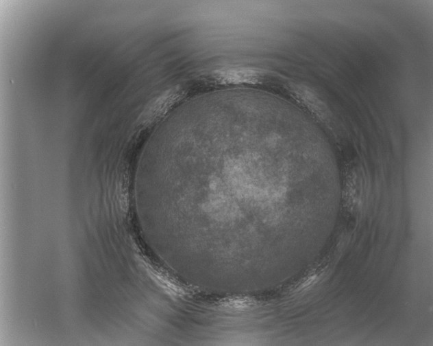 X0000060550402200511101542