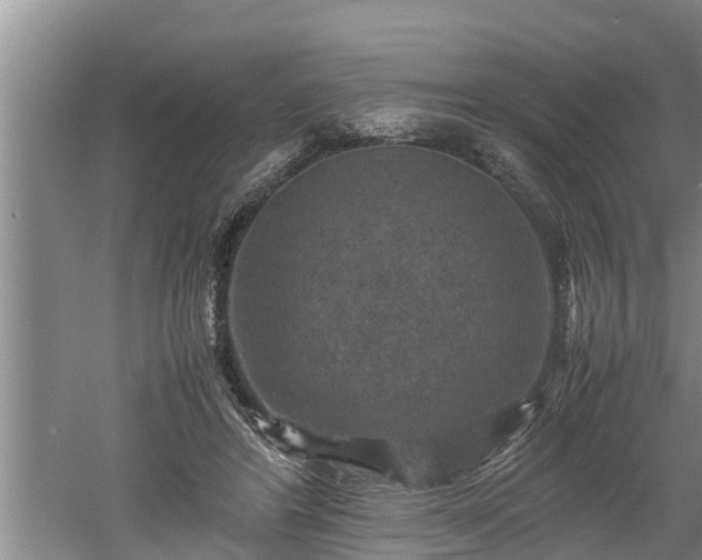 X0000060550404200511101542