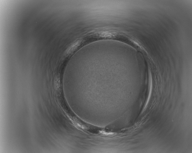 X0000060550407200511101542