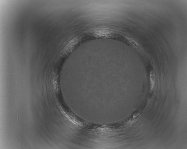 X0000060550408200511101542