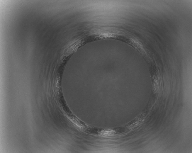 X0000060550410200511101542