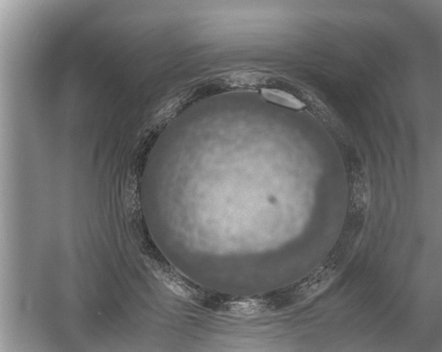 X0000060550411200511101542