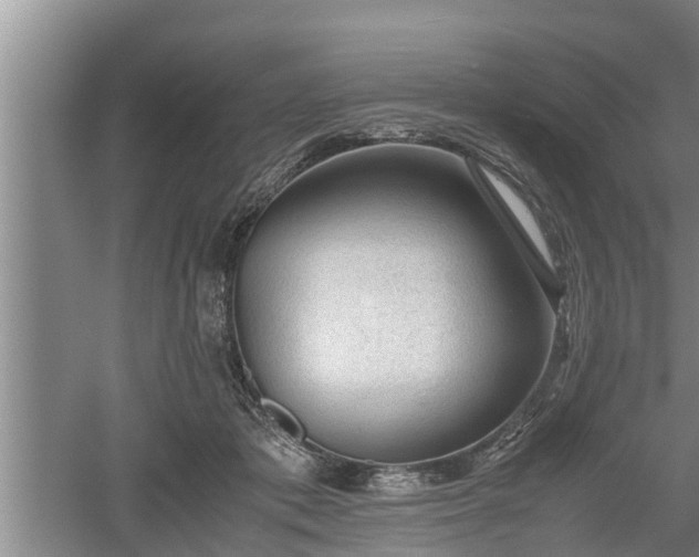 X0000060550413200511101542