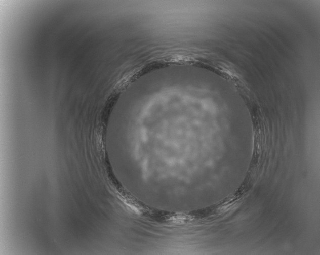 X0000060550415200511101542