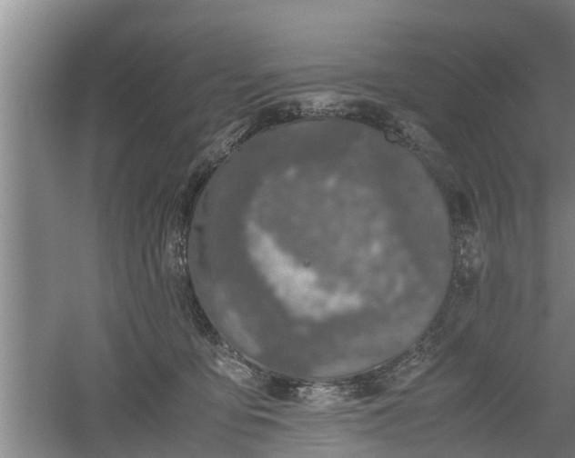 X0000060550419200511101542